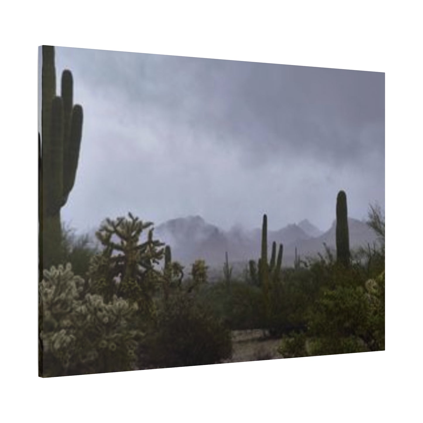 Foggy Desert Matte Canvas, Stretched, 1.25" 48" x 24", 32", 36"