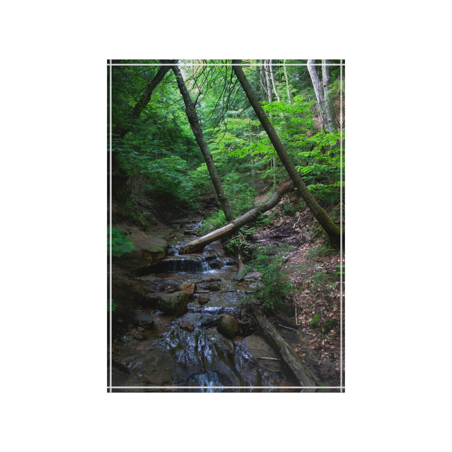 Photo Block - Bonus Creek