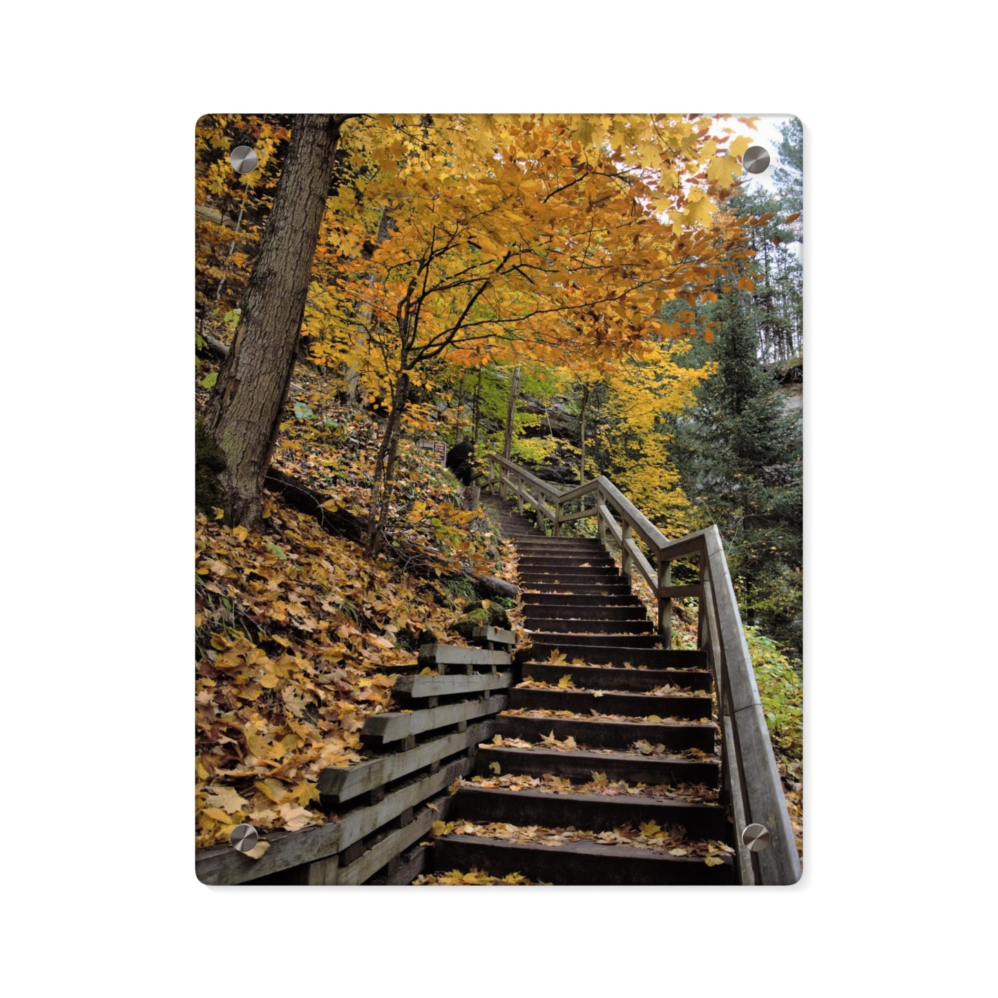 Acrylic Prints (Stand Off) Stairway to Heaven