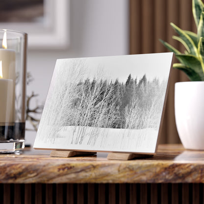 Ceramic Photo  Size 6" x 8"  Winter Field