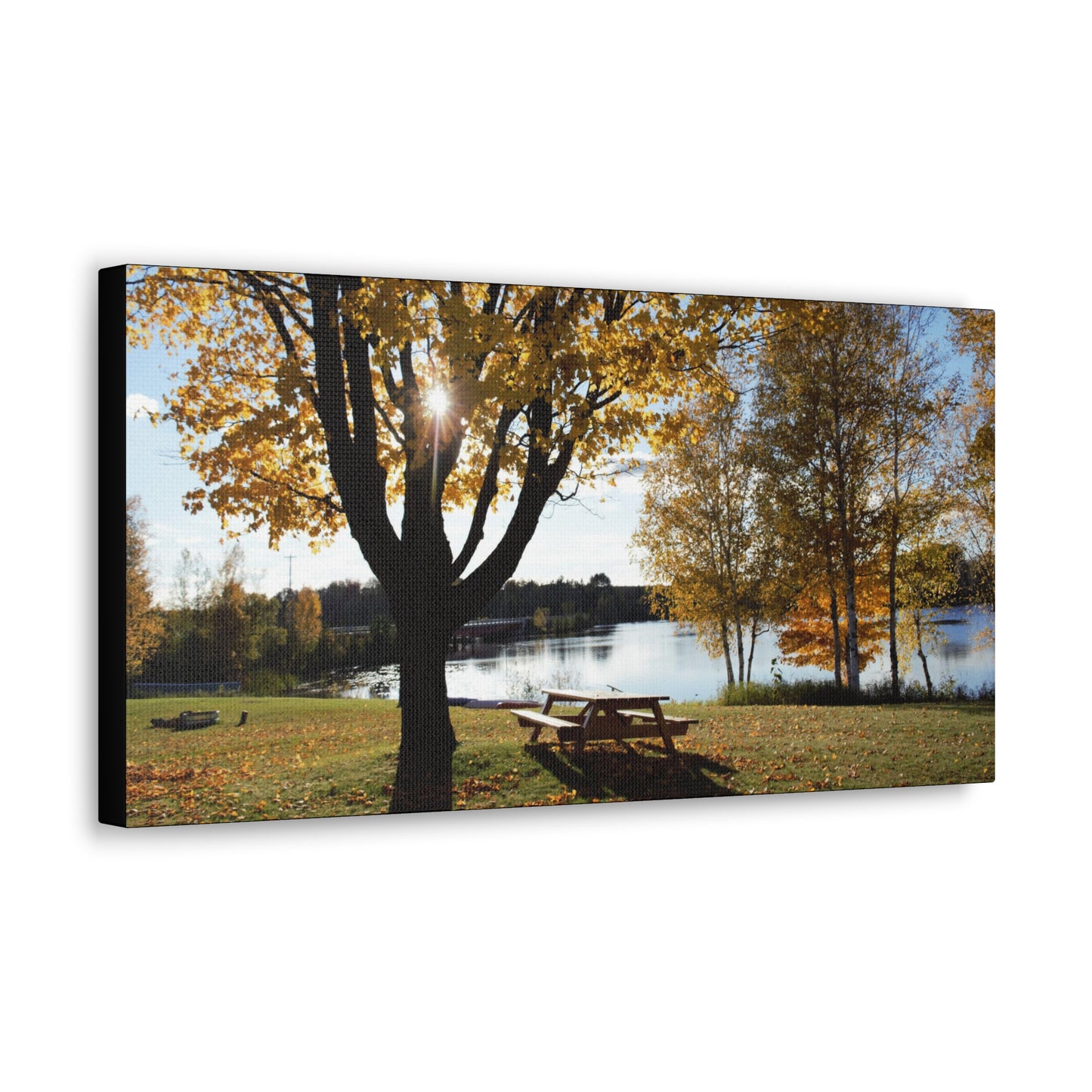 Canvas Gallery Wraps (Black Wrap) - Picinic by the river.