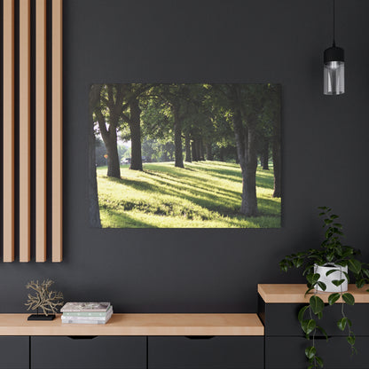 Walk in the park Matte Canvas, Stretched, 1.25" 48" x 24", 32", 36"