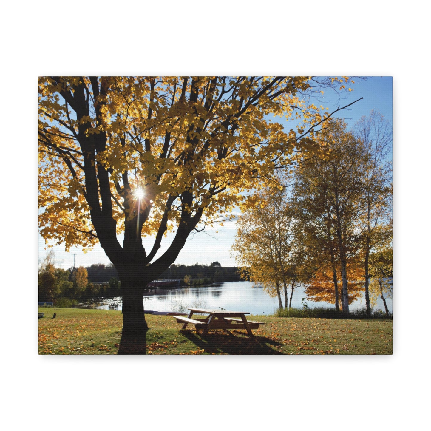 Canvas Gallery Wraps (White Wrap) - Fall picnic anyone