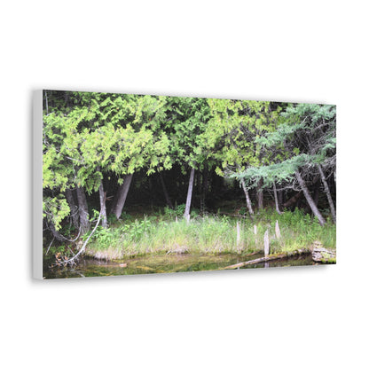 Canvas Gallery Wraps (White Wraps) Raw Nature