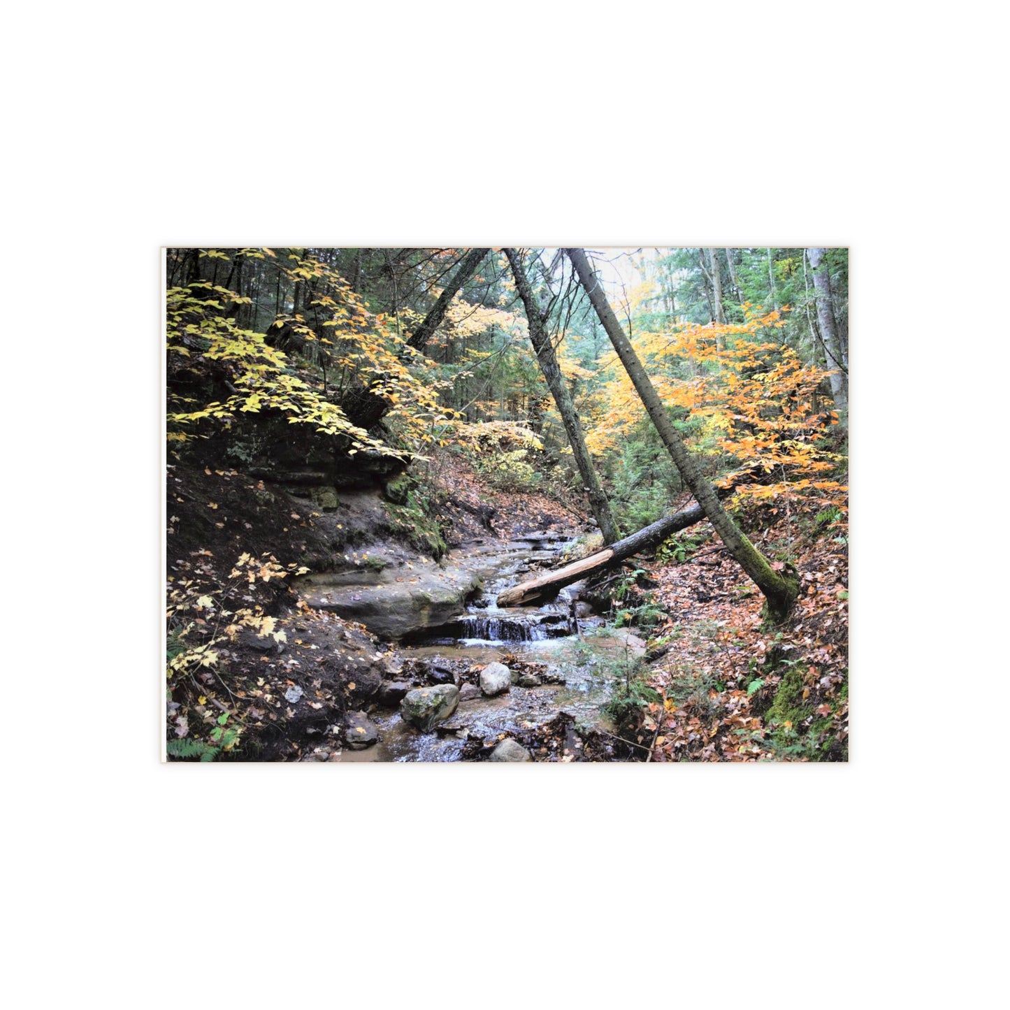 Ceramic Photo Tile - Bonus Creek