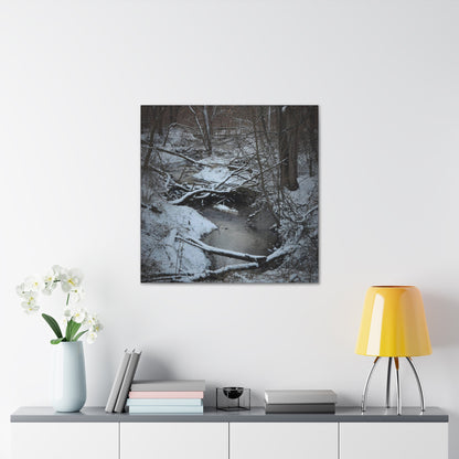 Canvas Gallery Wraps (Black Wrap) (Square) - Frozen pond in the park