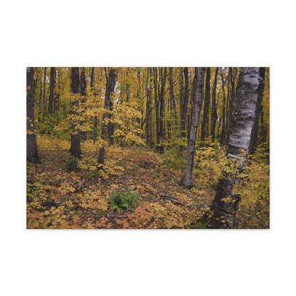 Canvas Gallery Wraps (White Wrap) - Golden Retreat