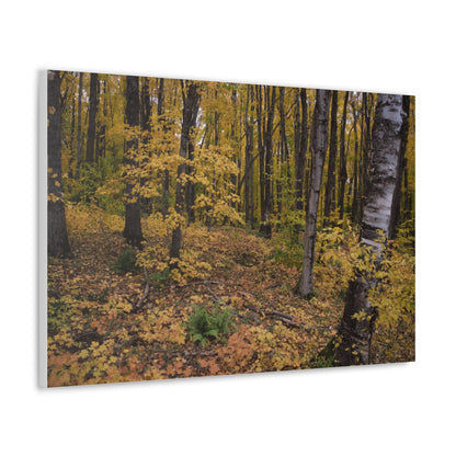 Canvas Gallery Wraps (White Wrap) - Golden Retreat