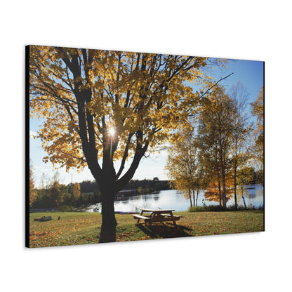 Canvas Gallery Wraps (Black Wrap) - Picinic by the river.