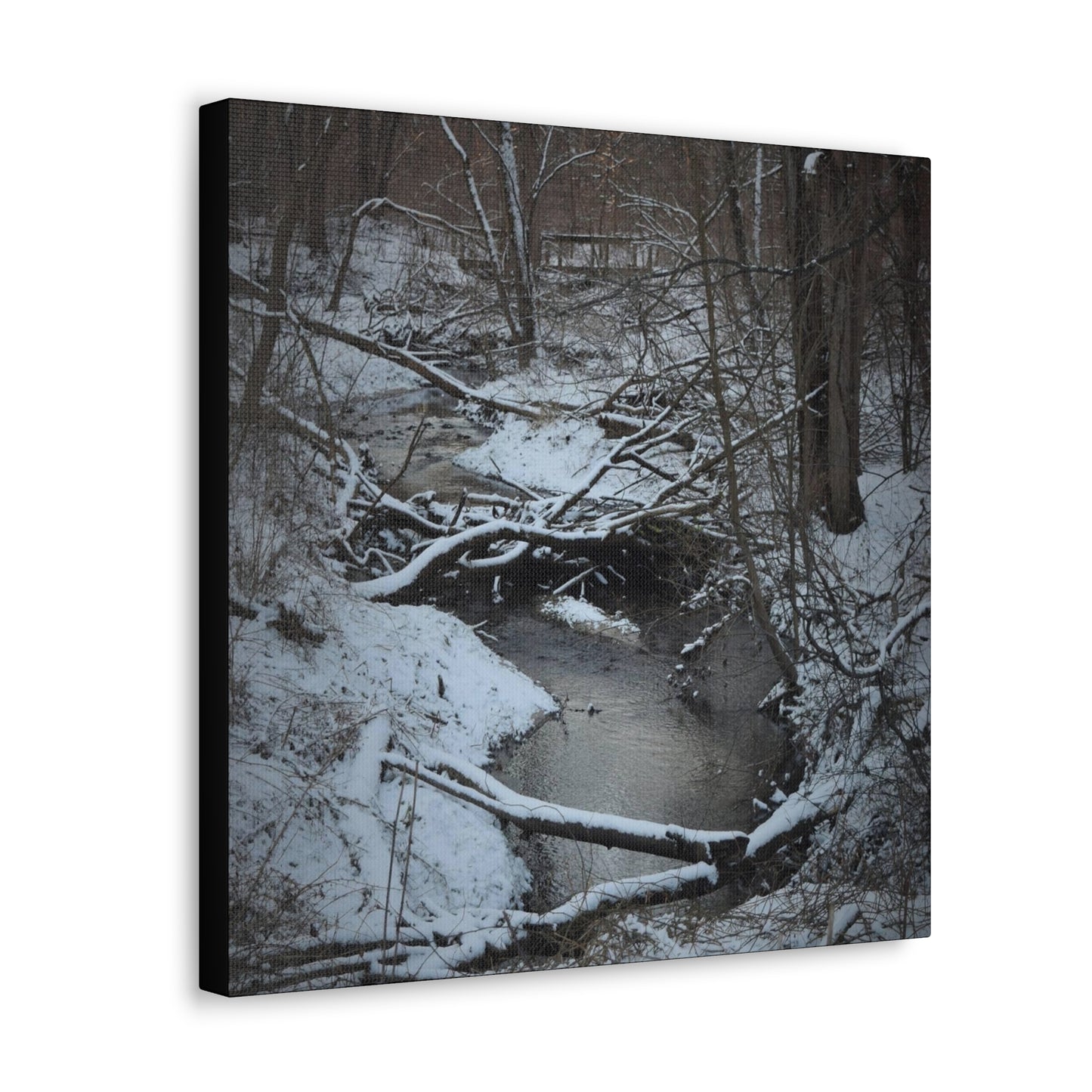 Canvas Gallery Wraps (Black Wrap) (Square) - Frozen pond in the park