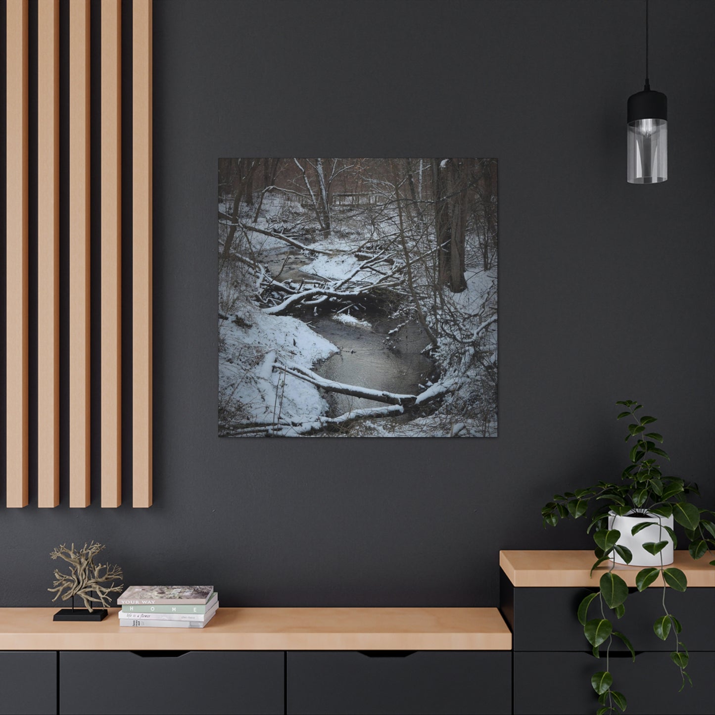 Canvas Gallery Wraps (Black Wrap) (Square) - Frozen pond in the park