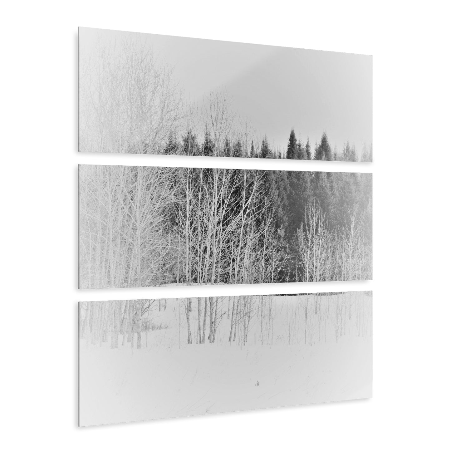 Acrylic Prints (Triptych) Creekline woods winter