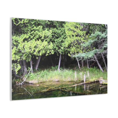 Canvas Gallery Wraps (White Wraps) Raw Nature