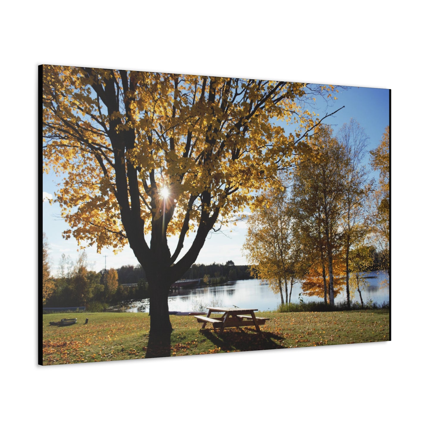 Canvas Gallery Wraps (Black Wrap) - Picinic by the river.