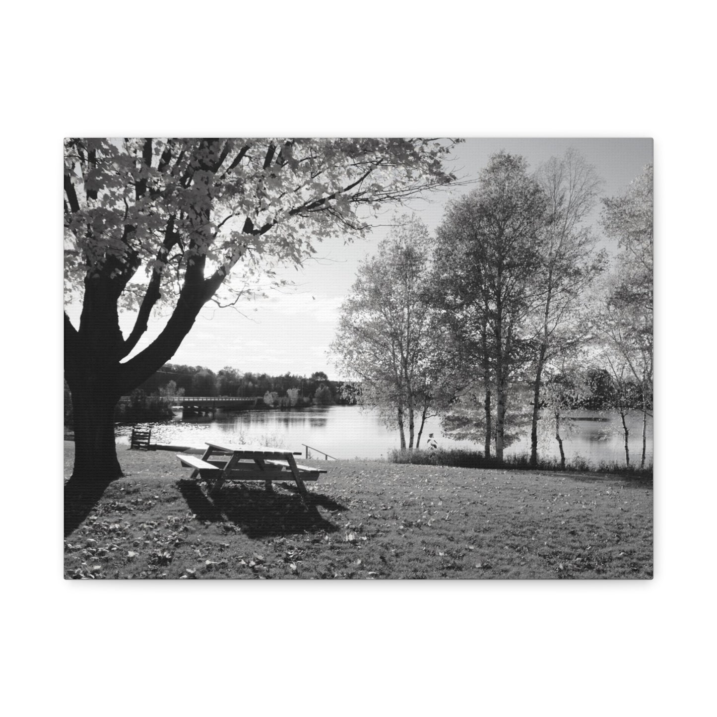 Canvas Gallery Wraps - Picinic by the river. Black and White