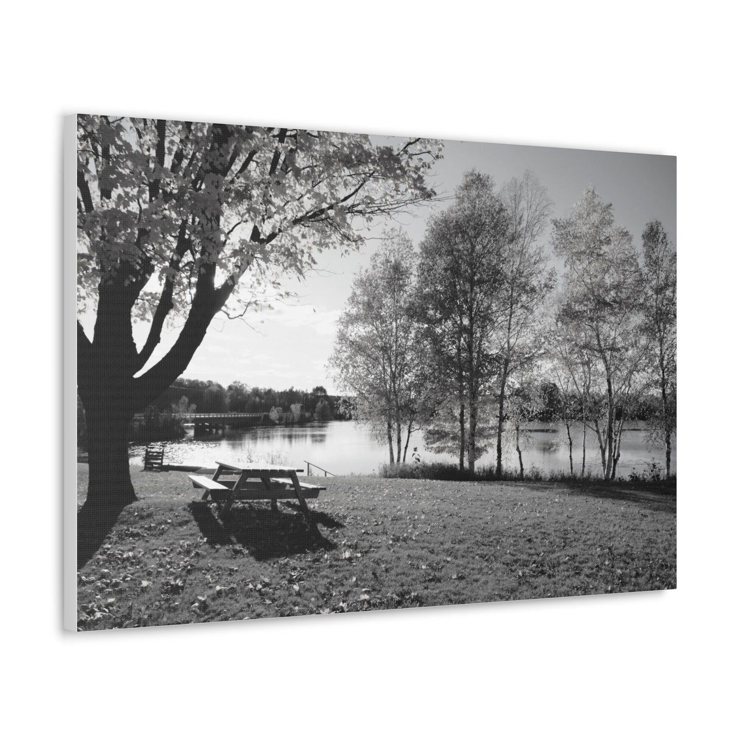 Canvas Gallery Wraps - Picinic by the river. Black and White