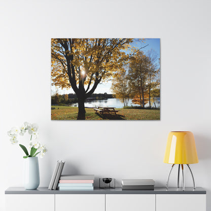 Canvas Gallery Wraps (White Wrap) - Fall picnic anyone