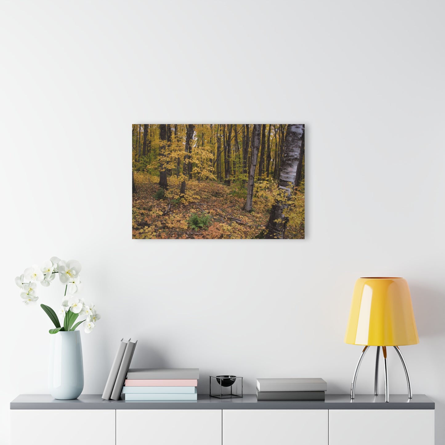 Acrylic Prints (French Cleat) Walk in the woods