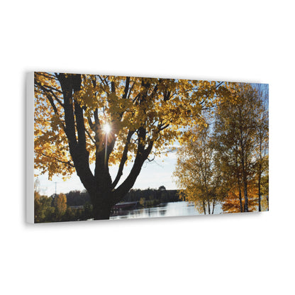 Canvas Gallery Wraps (White Wrap) - Fall picnic anyone