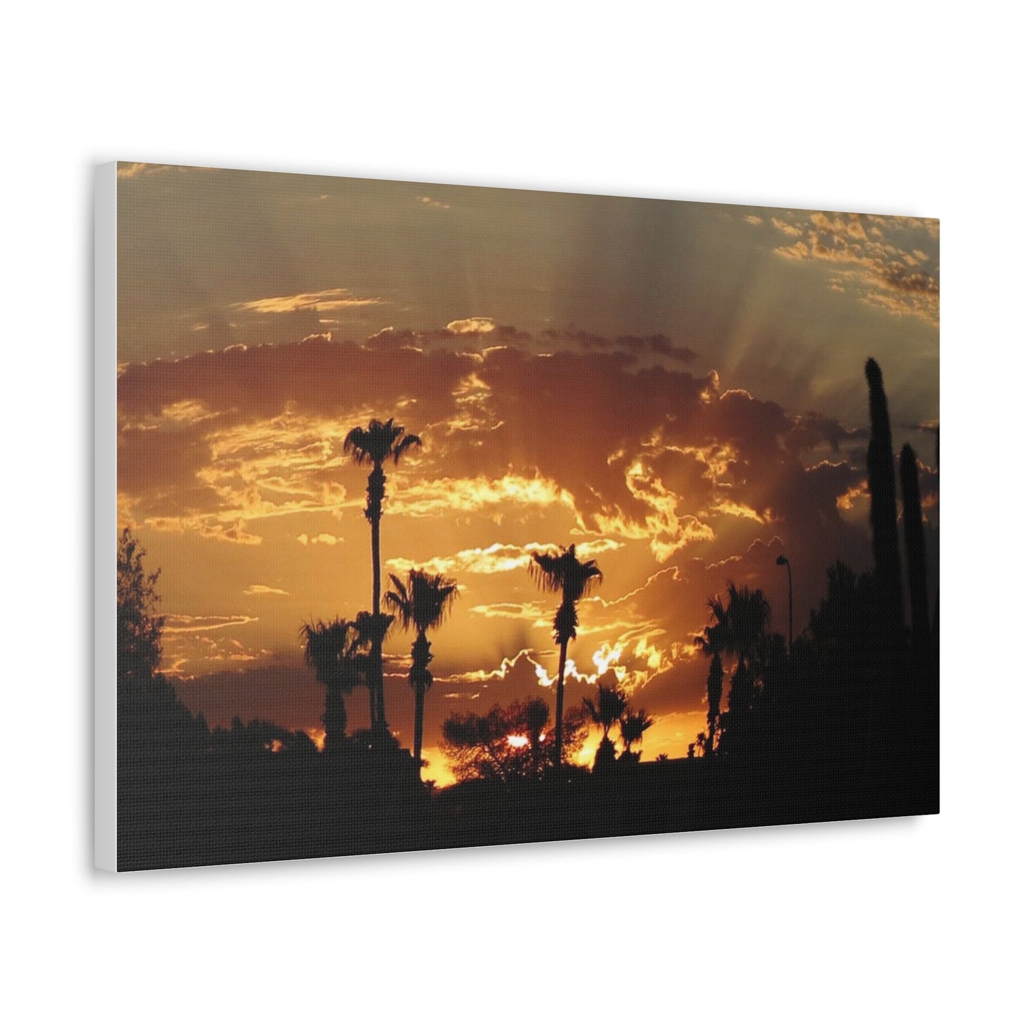 Canvas Gallery Wraps (White Wrap)