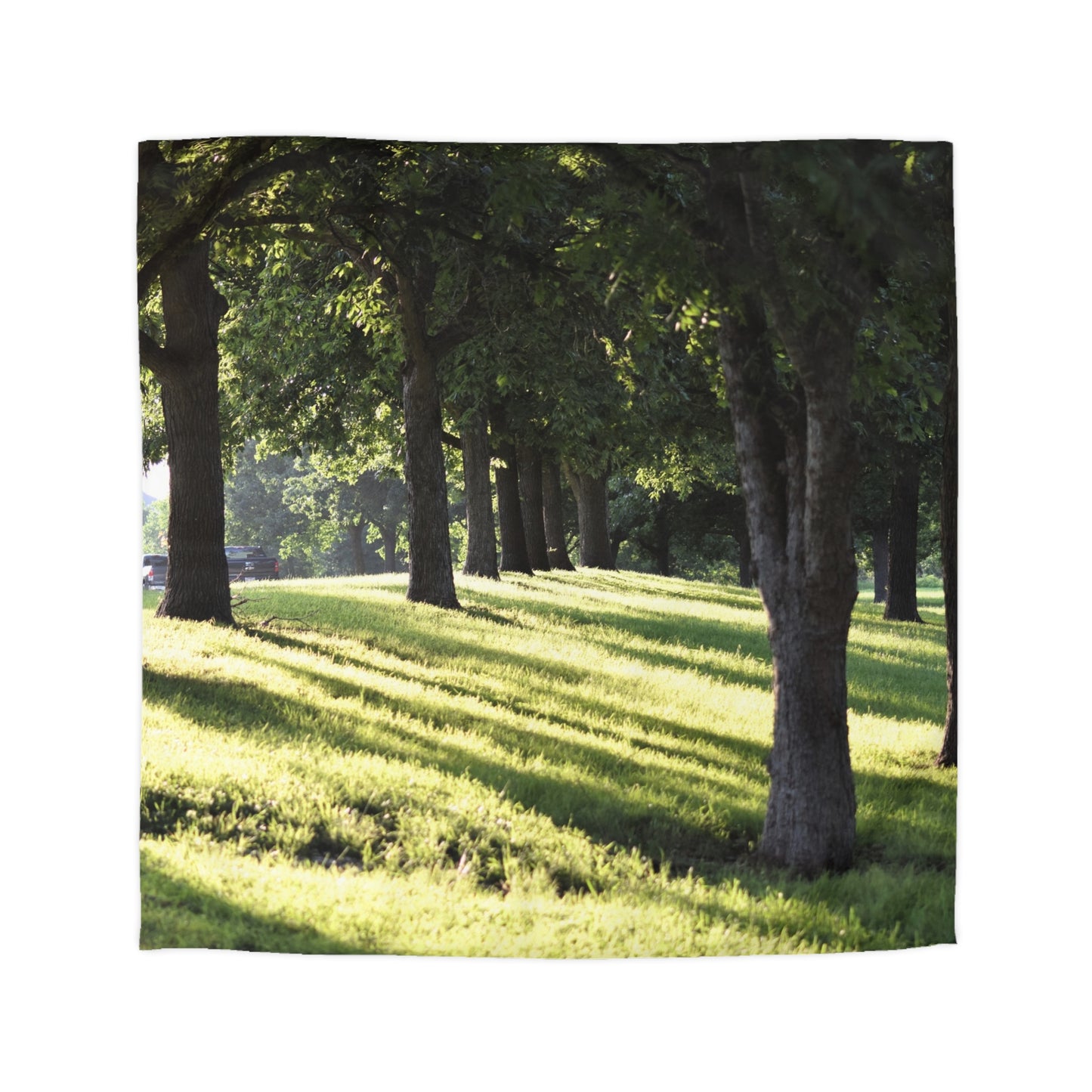 Microfiber Duvet Cover - Sunset kisses the grass