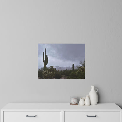 Wall Decals Desert morning fog