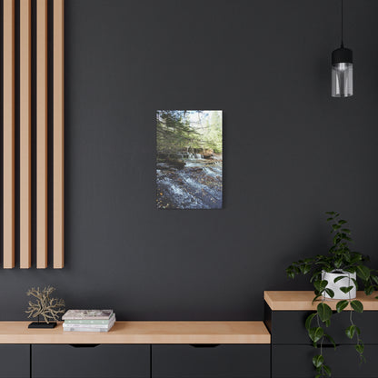Matte Canvas, Stretched, 1.25" 2:3 Ratio Master Vertical  TEST
