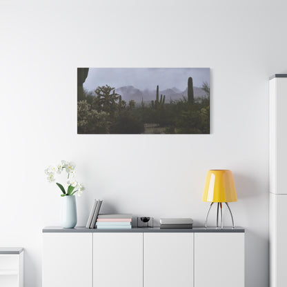 Foggy Desert Matte Canvas, Stretched, 1.25" 48" x 24", 32", 36"