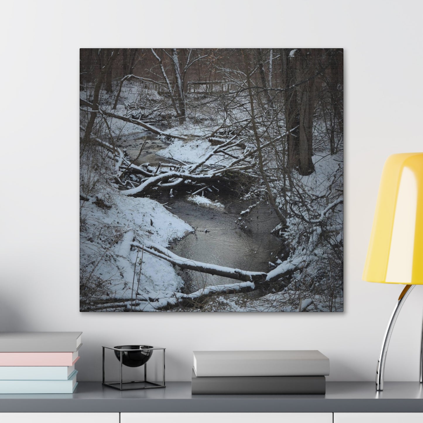 Canvas Gallery Wraps (Black Wrap) (Square) - Frozen pond in the park