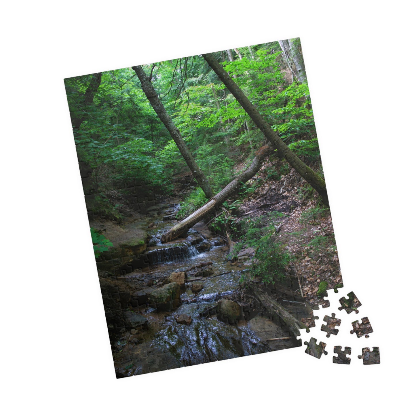 Puzzle (110, 252, 500, 1014-piece) Bonus Creek