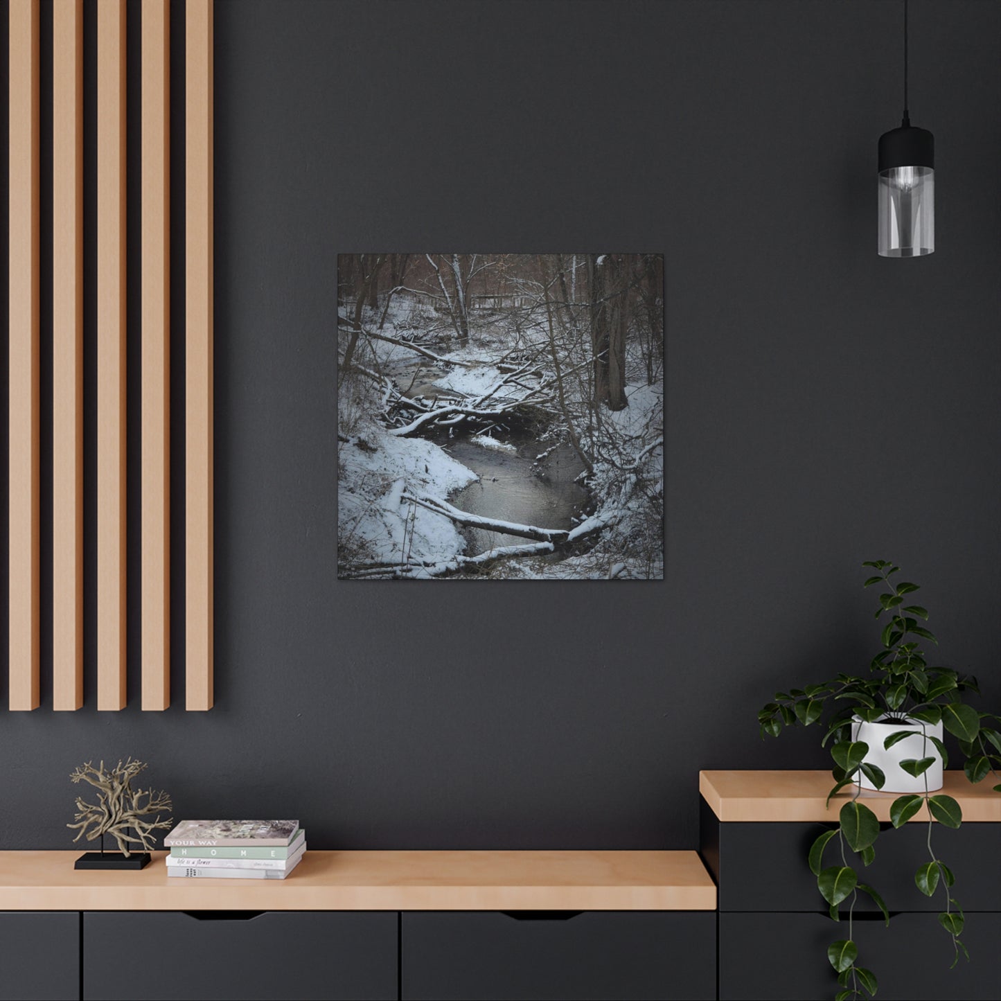 Canvas Gallery Wraps (Black Wrap) (Square) - Frozen pond in the park