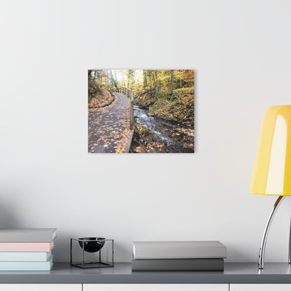 Acrylic Prints (French Cleat) Creekside Stroll, Artwork, Home Decor, Wall Art, Wall Decor, Office Decor, She Sheds