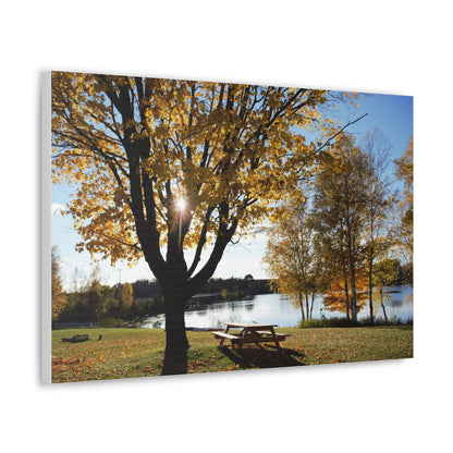 Canvas Gallery Wraps (White Wrap) - Fall picnic anyone