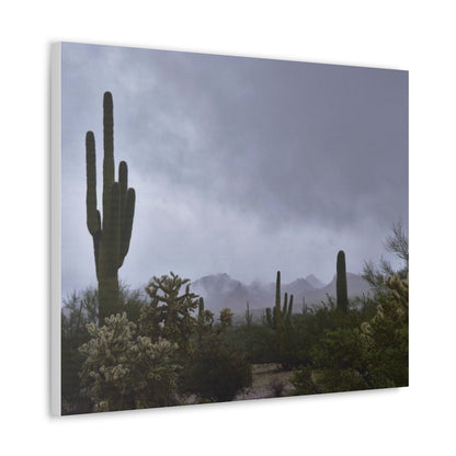 Canvas Gallery Wraps (White Wrap) Foggy day in the desert.