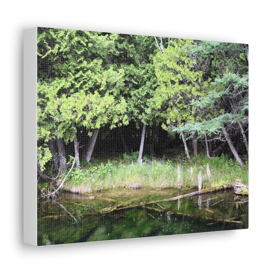 Canvas Gallery Wraps (White Wraps) Raw Nature