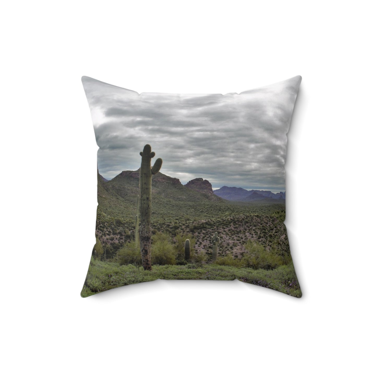 Spun Polyester Square Pillow - Views from the desert.