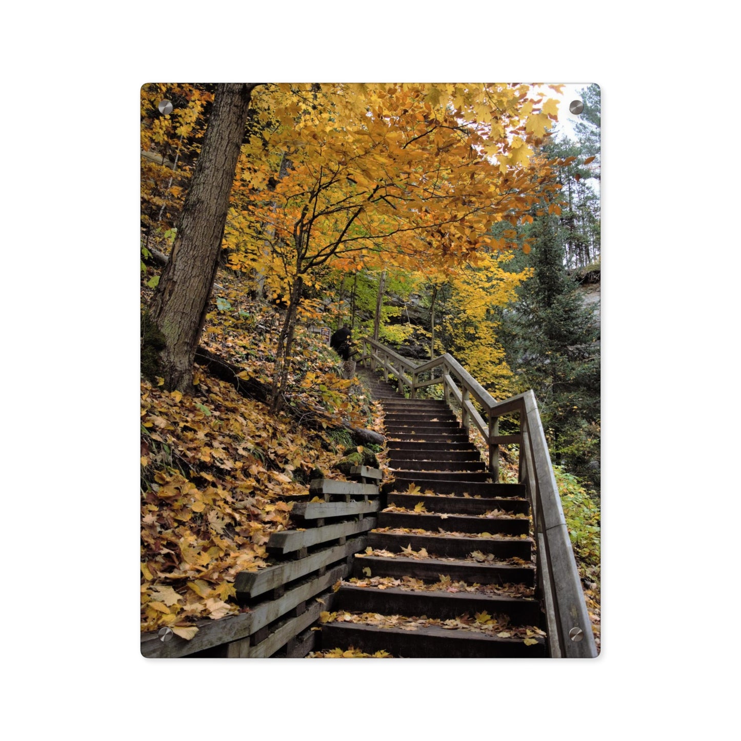 Acrylic Prints (Stand Off) Stairway to Heaven