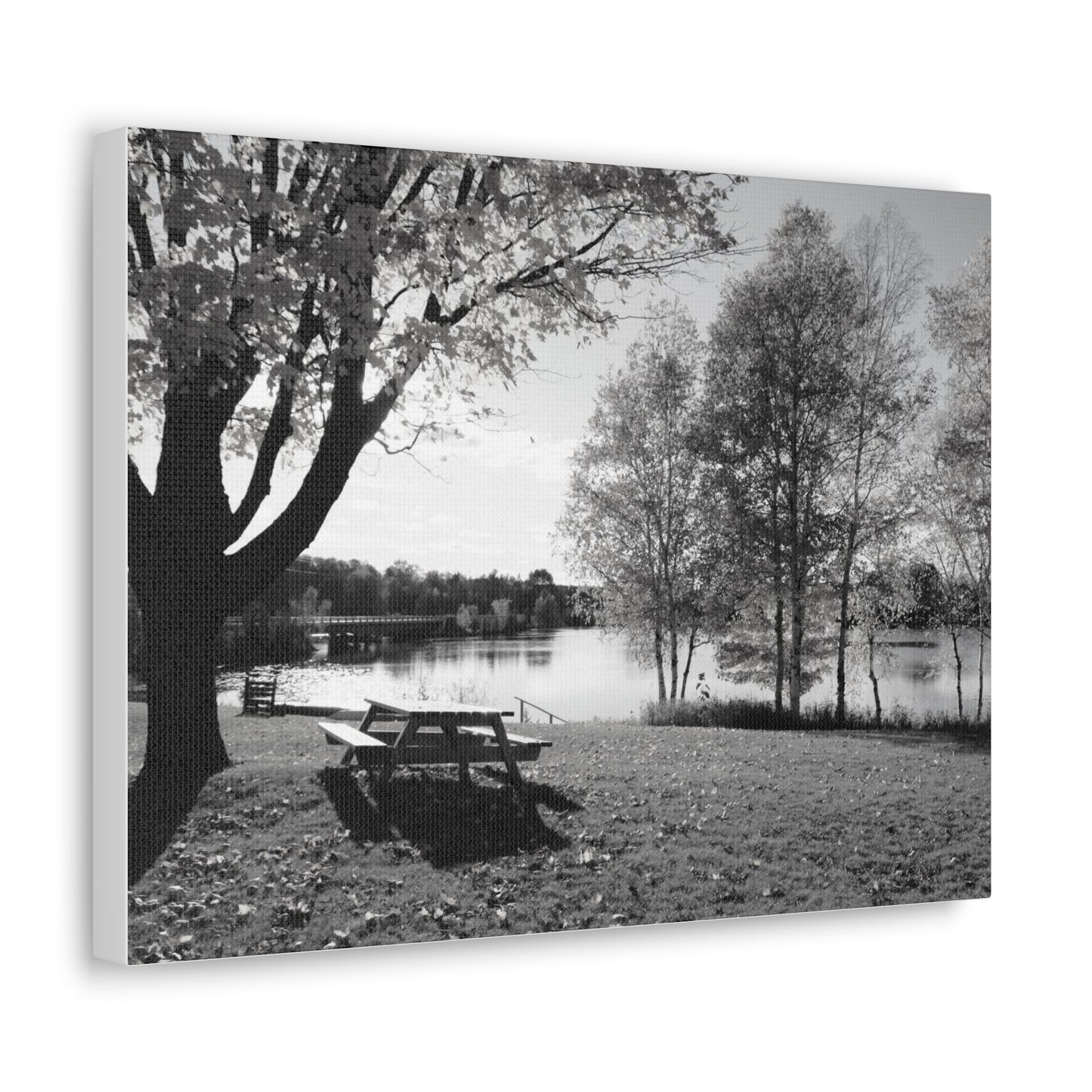 Canvas Gallery Wraps - Picinic by the river. Black and White