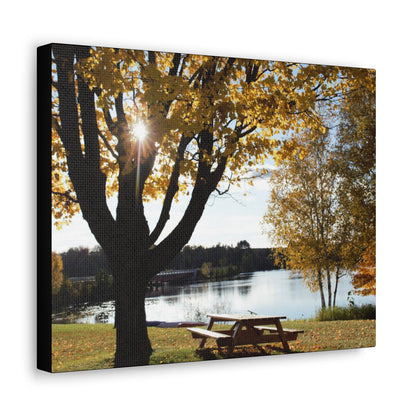 Canvas Gallery Wraps (Black Wrap) - Picinic by the river.