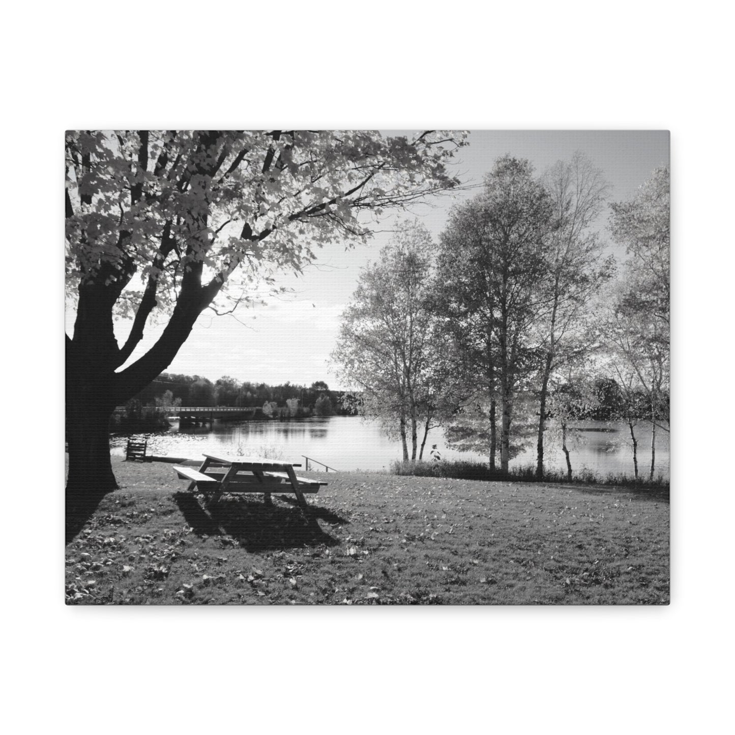 Canvas Gallery Wraps - Picinic by the river. Black and White