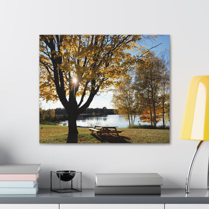 Canvas Gallery Wraps (White Wrap) - Fall picnic anyone