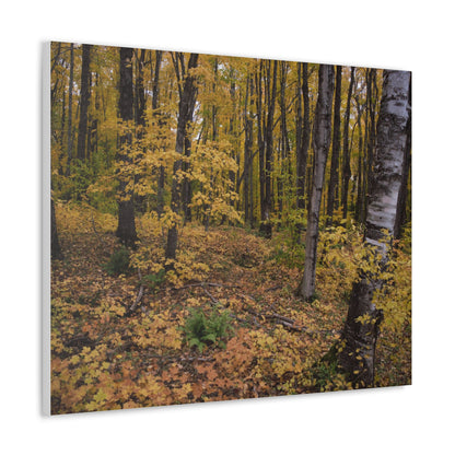 Canvas Gallery Wraps (White Wrap) - Golden Retreat