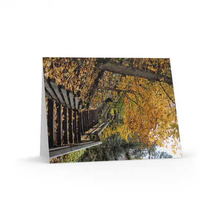 Greeting cards (8, 16, and 24 pcs) Fall walk near the falls