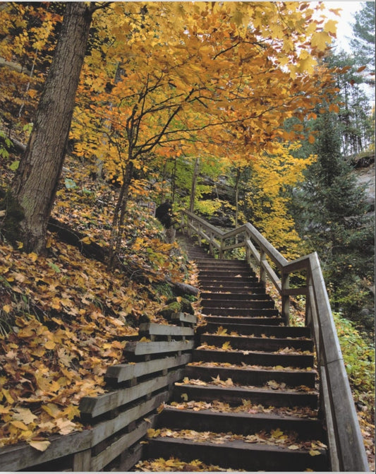 Acrylic Prints (French Cleat)  Stairway to Heaven, Home Decor, Wall Decor, Wall Art, Gift for Her, Nature Lover, Fall Season