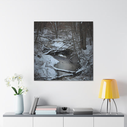 Canvas Gallery Wraps (Black Wrap) (Square) - Frozen pond in the park