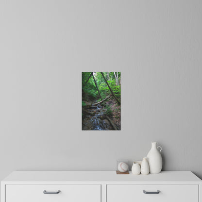 Wall Decals - Bonus creek