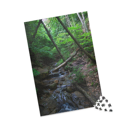 Puzzle (110, 252, 500, 1014-piece) Bonus Creek