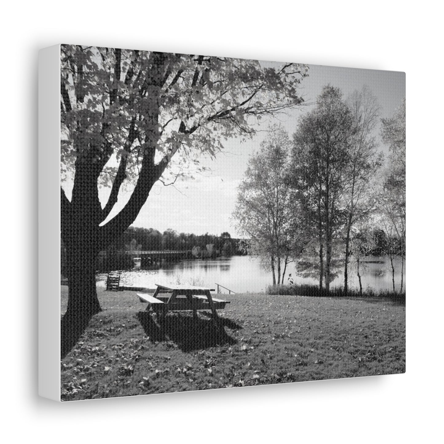 Canvas Gallery Wraps - Picinic by the river. Black and White