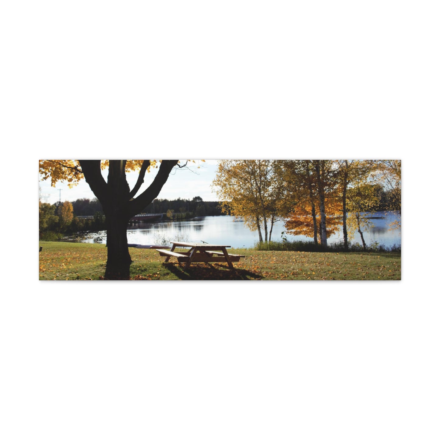 Canvas Gallery Wraps (White Wrap) - Fall picnic anyone