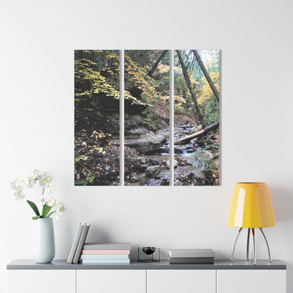 Acrylic Prints (Triptych) Bonus Creek